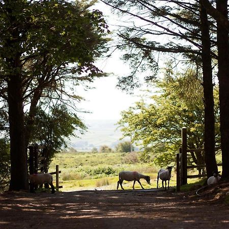 Wheal Tor Hotel & Glamping リスカード エクステリア 写真