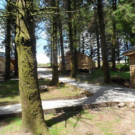 Wheal Tor Hotel & Glamping リスカード エクステリア 写真