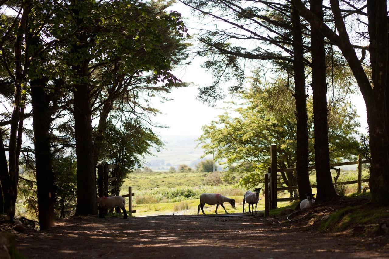 Wheal Tor Hotel & Glamping リスカード エクステリア 写真
