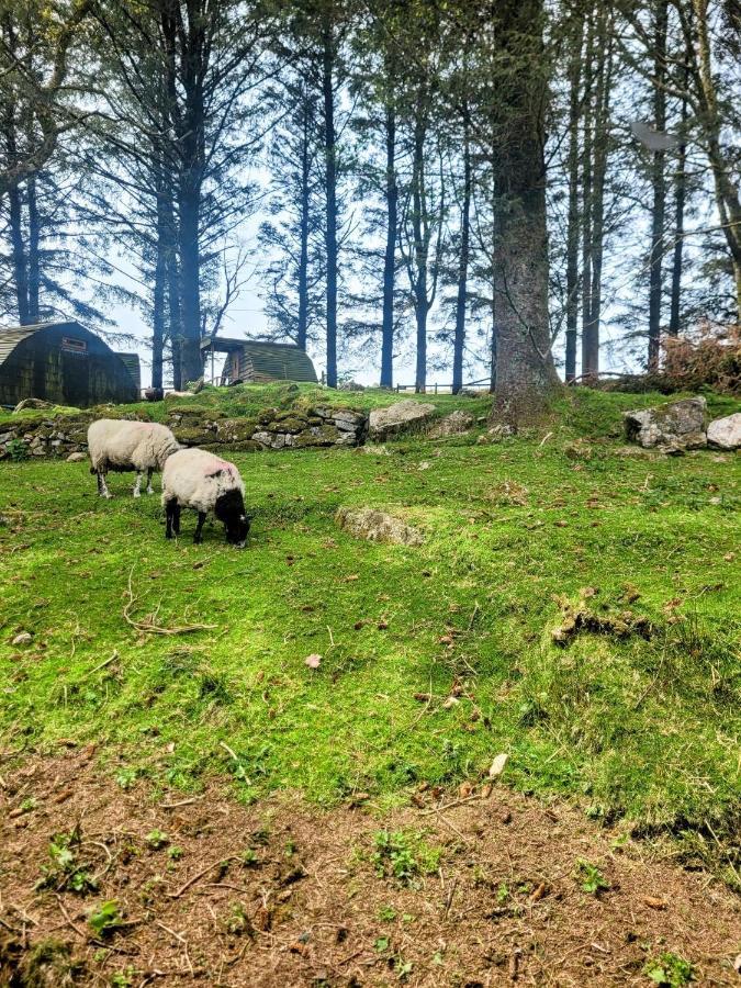 Wheal Tor Hotel & Glamping リスカード エクステリア 写真