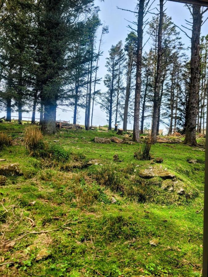 Wheal Tor Hotel & Glamping リスカード エクステリア 写真